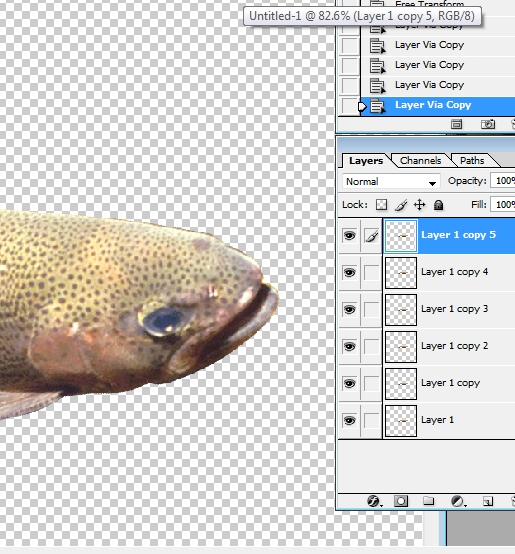 Creation of Colorful fish?: Step 6